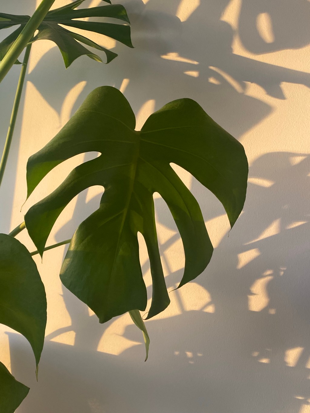 A Tumble and a&nbsp;Trip